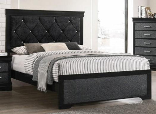 Crown Mark Amalia Twin Panel Bed in Black B6918-T image